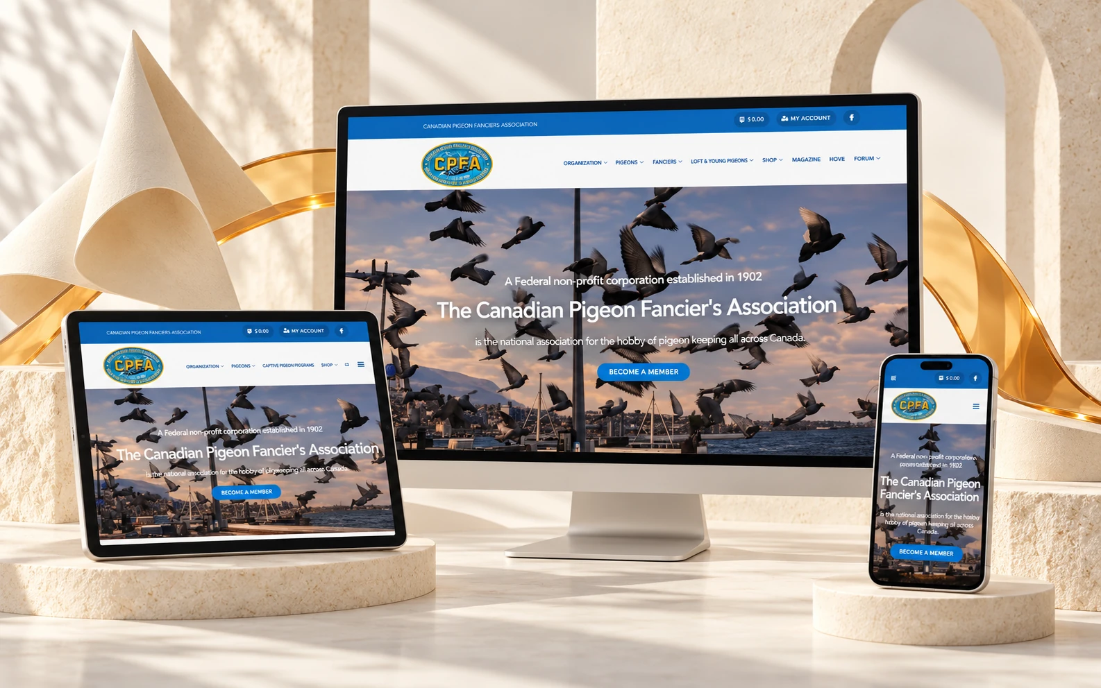 CPFA website on desktop, tablet and phone, in a light setting with openwork arches and light folds
